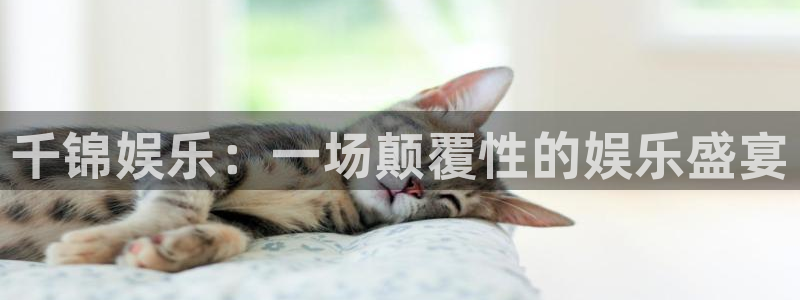 焦点娱乐集团股票：千锦娱乐：一场颠覆性的娱乐盛宴