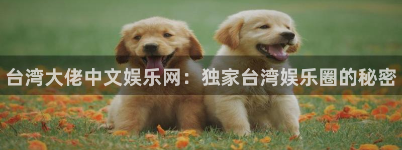 焦点娱乐平台开户链接：台湾大佬中文娱乐网：独家台湾娱乐圈的秘密