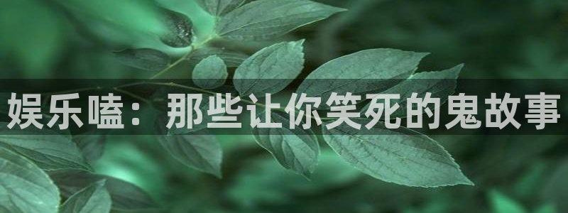 焦点娱乐现在优惠多少：娱乐嗑：那些让你笑死的鬼故事