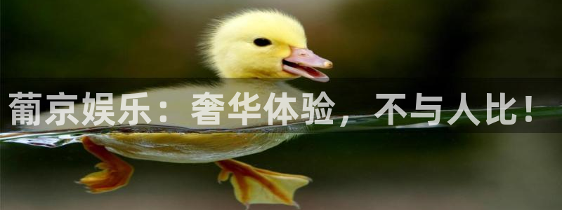焦点娱乐主管：葡京娱乐：奢华体验，不与人比！