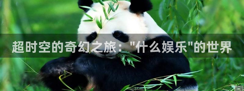 焦点娱乐kgame：超时空的奇幻之旅：\