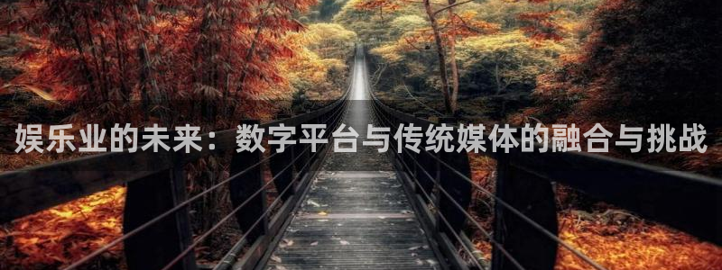 焦点娱乐2体育登录入口：娱乐业的未来：数字平台与传统媒体的融合与挑战