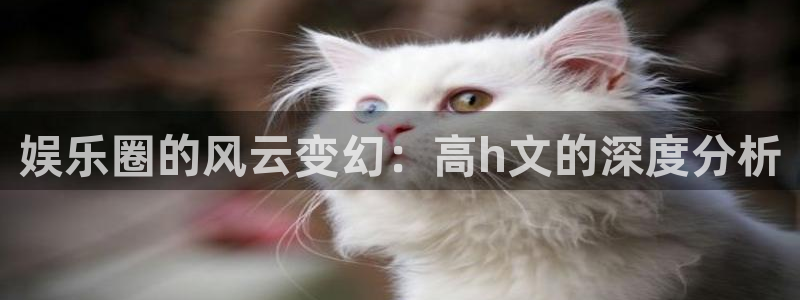 焦点娱乐app哪个模式容易赢：娱乐圈的风云变幻：高h文的深度分析