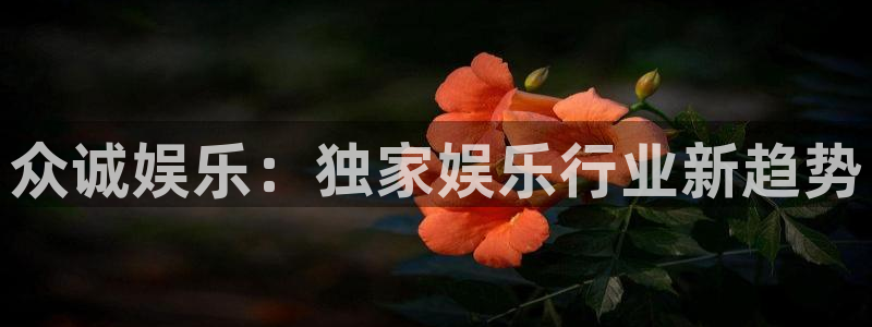 南宫焦点娱乐：众诚娱乐：独家娱乐行业新趋势