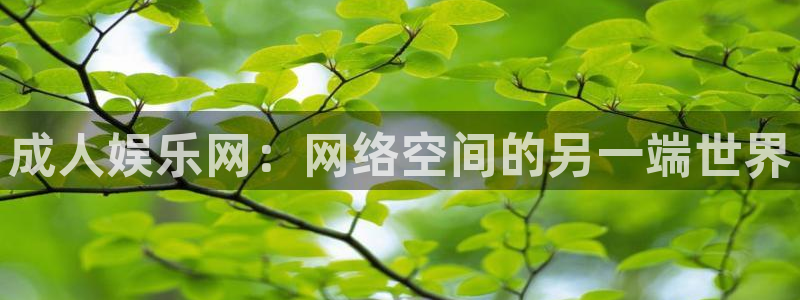 焦点娱乐体育代理：成人娱乐网：网络空间的另一端世界