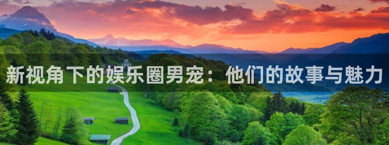 焦点娱乐主管：新视角下的娱乐圈男宠：他们的故事与魅力