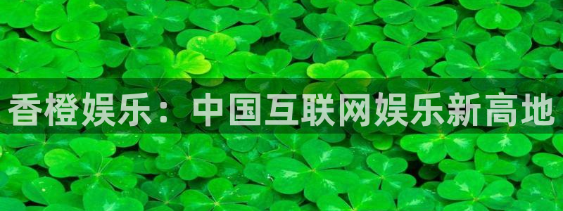 焦点娱乐游戏试玩：香橙娱乐：中国互联网娱乐新高地
