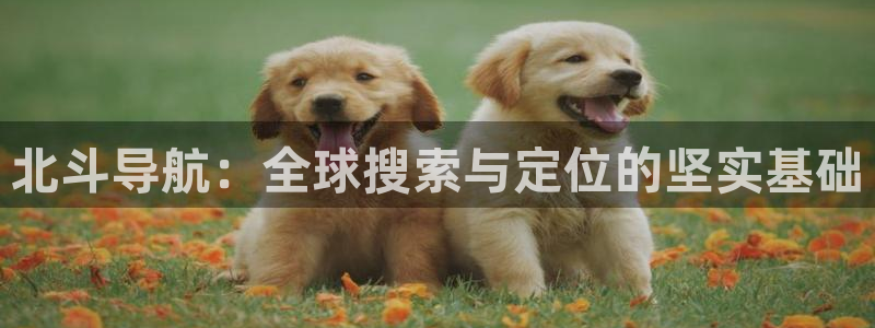 焦点娱乐电子娱乐官网下载：北斗导航：全球搜索与定位的坚实基础