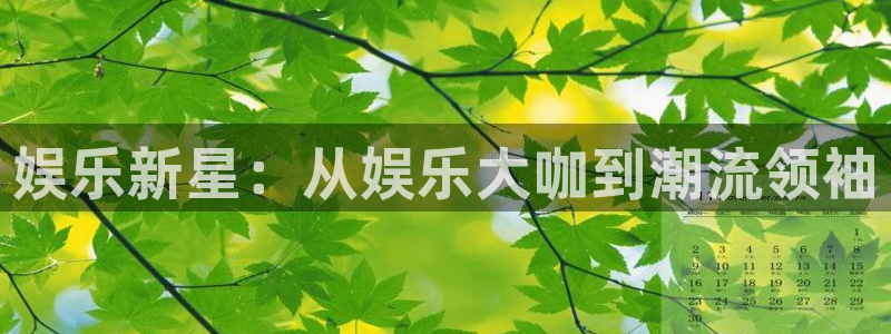 焦点娱乐平台链接：娱乐新星：从娱乐大咖到潮流领袖